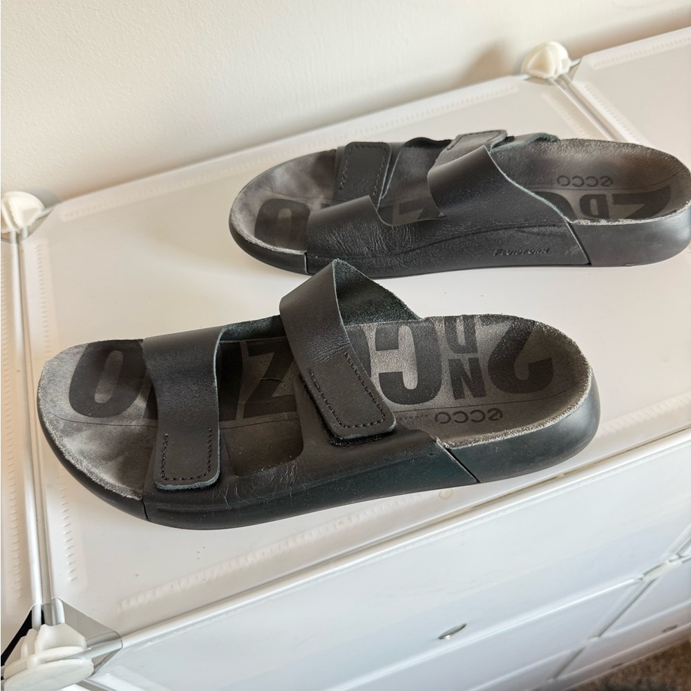 ECCO slides